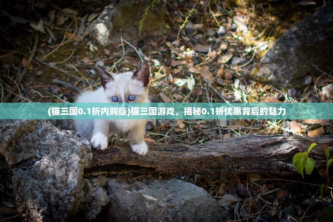 (猫三国0.1折内购版)猫三国游戏，揭秘0.1折优惠背后的魅力