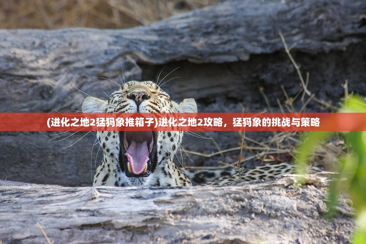 (进化之地2猛犸象推箱子)进化之地2攻略，猛犸象的挑战与策略